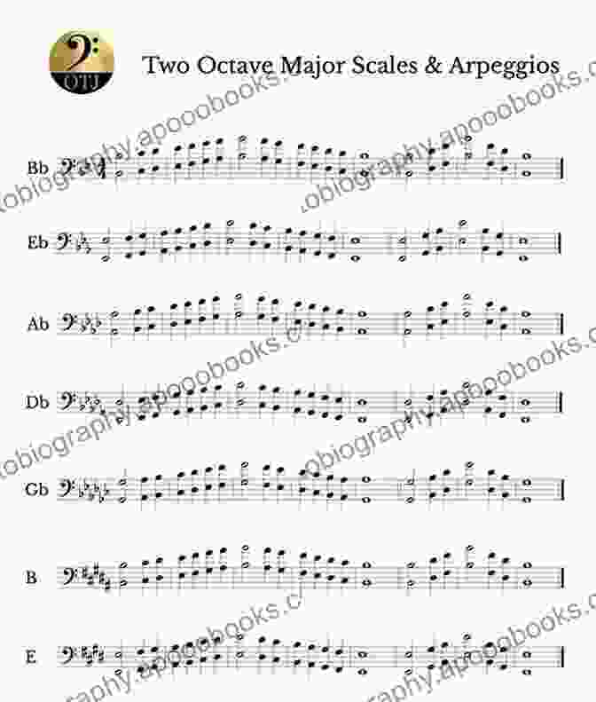 A Comprehensive Visual Representation Of The Most Important Scales And Arpeggios For Bossa Nova And Samba Guitarists Bossa Nova And Samba For Guitar