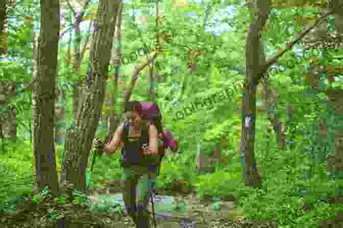 A Hiker On The Appalachian Trail, Surrounded By Lush Greenery From Trail To Railway Through The Appalachians