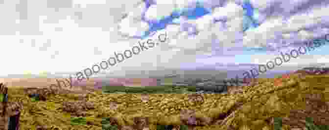 A Panoramic View From Atop Mount Gabriel, Capturing The Breathtaking Expanse Of West Cork's Natural Beauty, With Rolling Hills And Distant Coastlines. West Cork: The People And The Place