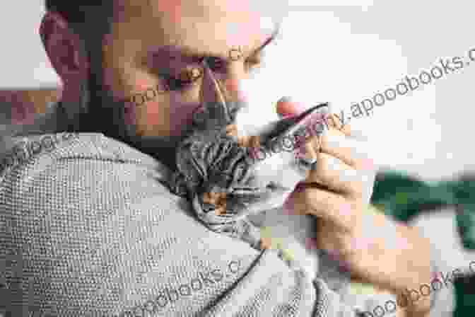 A Person Hugging A Cat Hugs For Cat Lovers (Hugs Series)