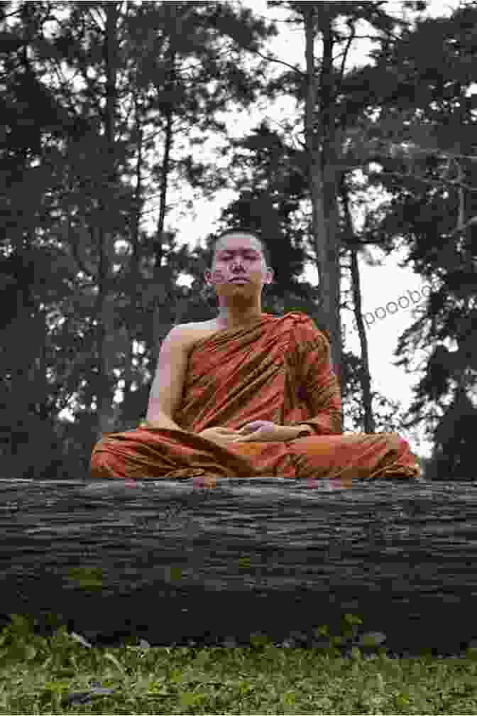 A Serene Image Of A Buddhist Monk Meditating In A Tranquil Setting, With A Book Titled 'Hermeneutic And Buddhist Meditations' Resting Beside Them. On The Pedagogy Of Suffering: Hermeneutic And Buddhist Meditations (Counterpoints 464)