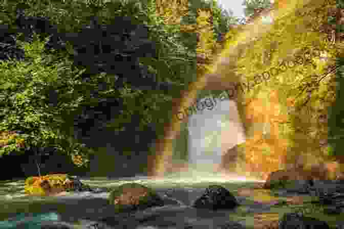 A Stunning Landscape Photograph Of A Majestic Waterfall Surrounded By Lush Greenery Photographing Montana: Where To Find Perfect Shots And How To Take Them (The Photographer S Guide)