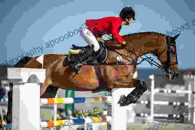 An Equestrian Rider Soaring Over A Jump, Symbolizing Equestrian Excellence Horse Riding The Four Secret Fundamentals To Ride And Train Your Horse Effectively: The 4 Secret Concepts That Every Horse Rider From Beginner To Olympian Should Know