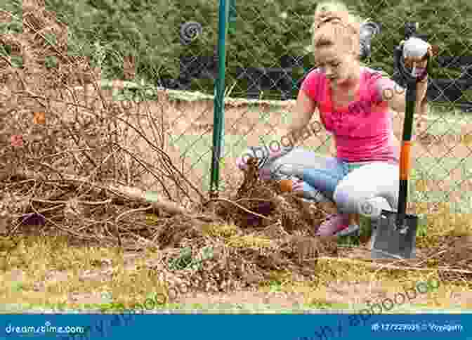 Book Cover Of Digging Beneath Bright Featuring A Woman Digging In The Dirt With A Bright Light Above Her Digging Beneath J E Bright