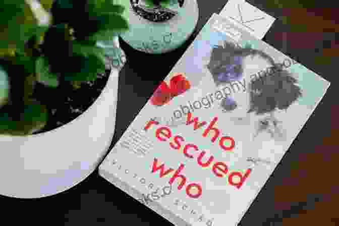 Book Cover Of 'Who Rescued Who' By Victoria Schade, Depicting A Woman And A Dog Gazing Into Each Other's Eyes Who Rescued Who Victoria Schade