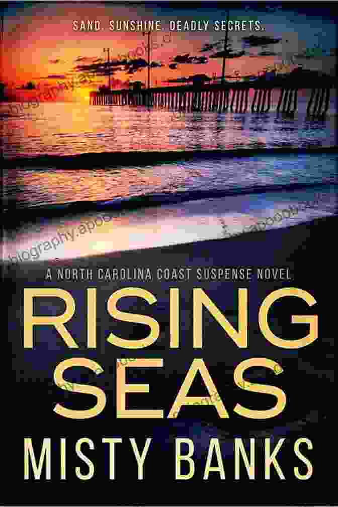 Cover Of Rising Seas: Past Present Future