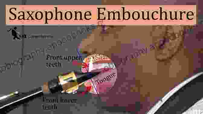 Different Embouchure Positions For Saxophone Saxophone For Beginners: Advanced Guide To Master The Skills As A Saxophonist