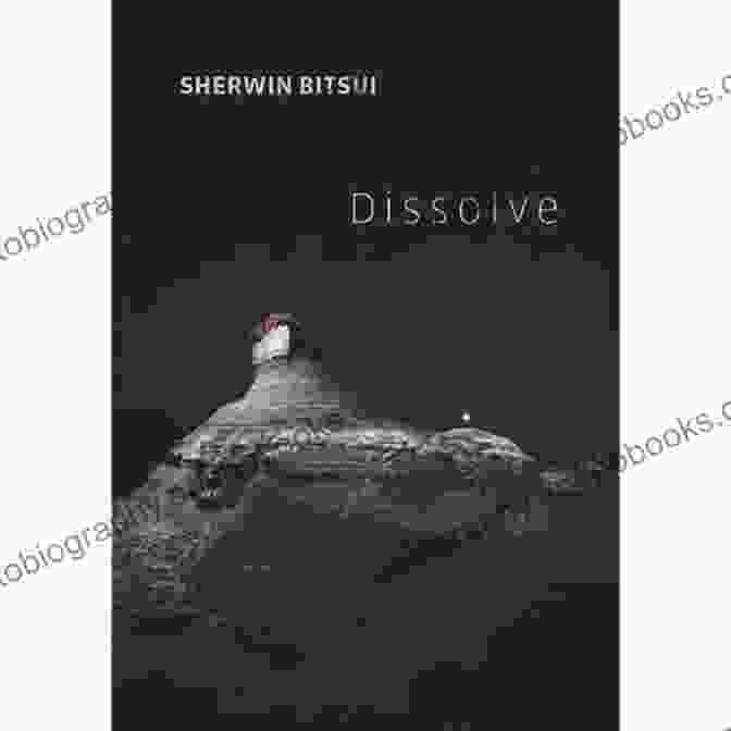 Dissolve By Sherwin Bitsui Dissolve Sherwin Bitsui