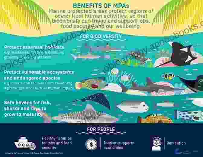 Image Of A Marine Conservation Area, Showcasing Efforts To Protect And Restore Marine Ecosystems Ecological Geography Of The Sea