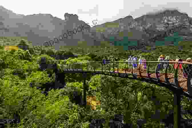 Kirstenbosch Botanical Gardens, Cape Town Top 12 Things To See And Do In Cape Town Top 12 Cape Town Travel Guide