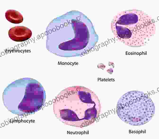 Microscope Images Of Various Types Of Cells Looking Inside Cells (Science Readers)