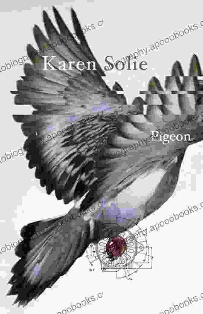 Pigeon By Karen Solie Pigeon Karen Solie