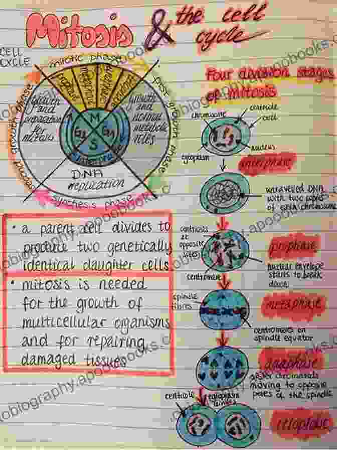 Students Studying Cell Biology In A Classroom Looking Inside Cells (Science Readers)