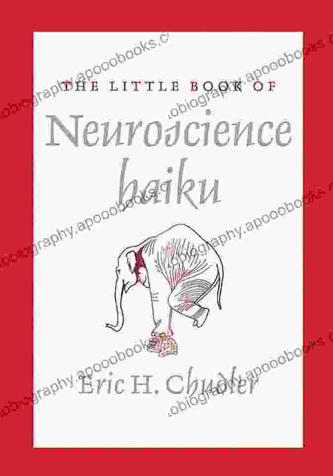 The Little Book Of Neuroscience Haiku By Dr. Robert Burton The Little Of Neuroscience Haiku