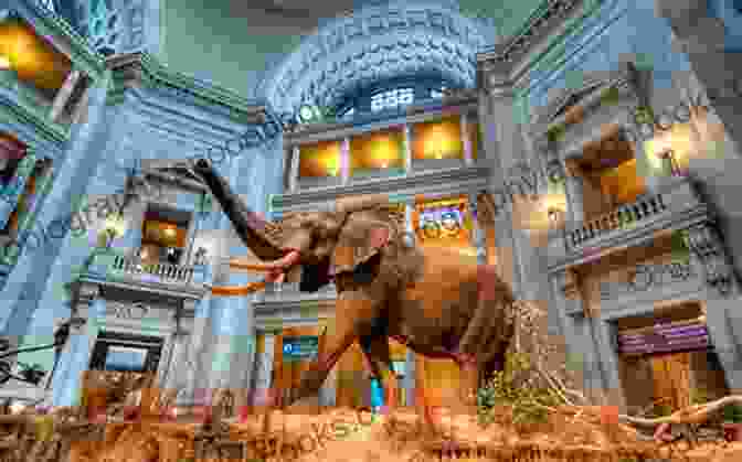 The Smithsonian National Museum Of Natural History, One Of The World's Largest Natural History Museums. Frommer S EasyGuide To Washington D C 2024