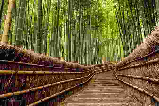 Towering Bamboo Groves In Arashiyama Bamboo Forest Top 12 Things To See And Do In Kyoto Top 12 Kyoto Travel Guide