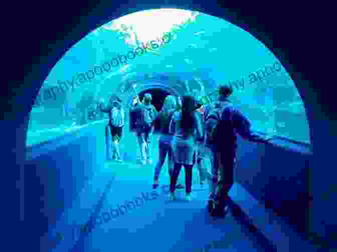 Two Oceans Aquarium, Cape Town Top 12 Things To See And Do In Cape Town Top 12 Cape Town Travel Guide