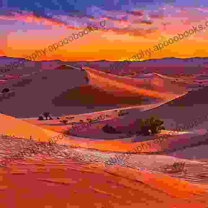 Vast And Serene Desert Dunes Under A Breathtaking Sunrise Sky Dunes: Musings From 40 Days In Our Desert