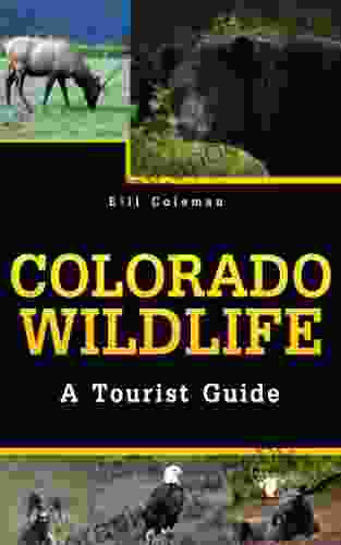 Colorado Wildlife: A Tourist Guide