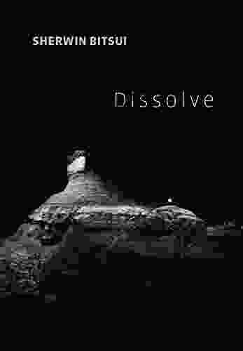 Dissolve Sherwin Bitsui