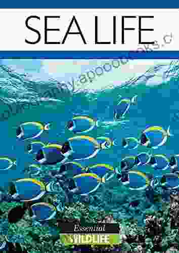 Sea Life: Essential Wildlife Alex Coombs