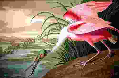 Counted Cross Stitch Pattern: Roseate Spoonbill Bird By John James Audubon PROFESSIONALLY EDITED Image (Audubon Bird Series)