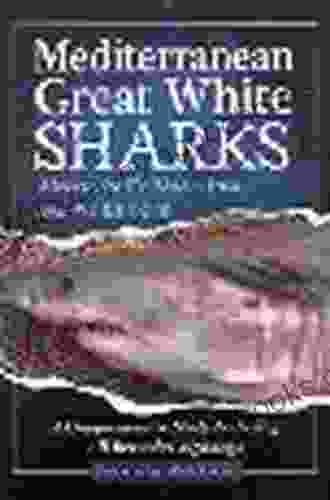 Mediterranean Great White Sharks: A Comprehensive Study Including All Recorded Sightings